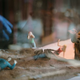 Image for article titled Todd makes a “Snow Globe” in this new Breaking Bad short